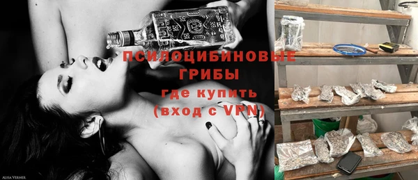 бошки Новодвинск