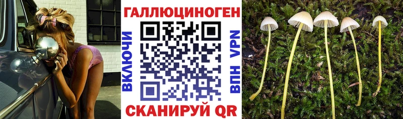 Галлюциногенные грибы ЛСД  Омутнинск 